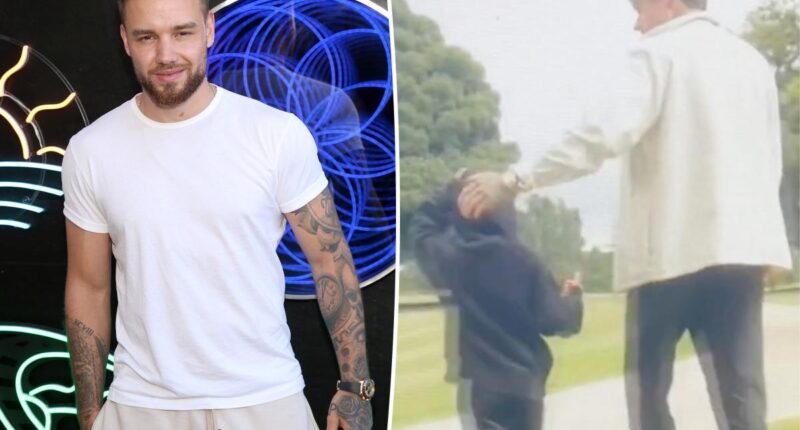 Liam Payne's son, Bear, 9, inherits nearly $28M after singer's tragic death
