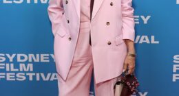 Lisa Wilkinson (pictured) has weighed in on the swirling drama around her former Today Show co-host, Karl Stefanovic