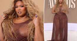 Lizzo goes daringly bare in sheer brown dress for BET Awards