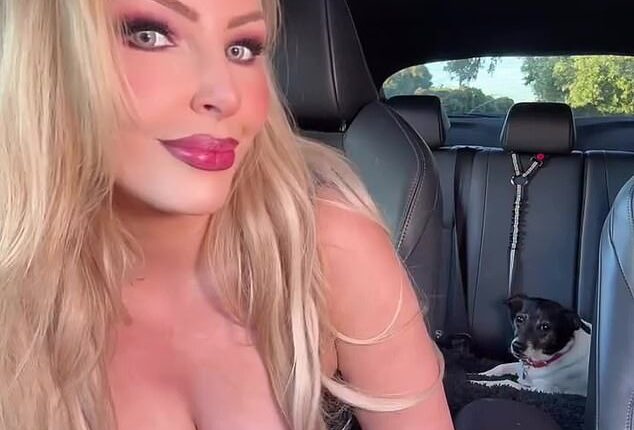 Married At First Sight Sarah Roza has detailed the damage to her car after it was left trashed after an attempted theft this week. Pictured in her vehicle
