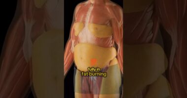 Mind-Blowing Simulation Reveals What 36 Hours Of Fasting Really Does To Your Body – TVovermind