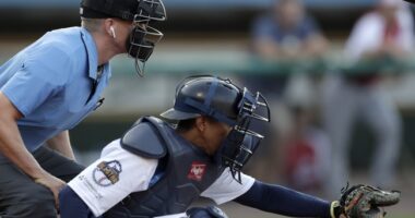 Minor League Baseball Team Refuses to Wear the Pride Sleeves – HotAir