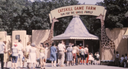 New Documentary American Zoo Bridges Nostalgia and the Unbelievable 