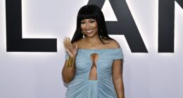 nicki-minaj-shares-rare-new-video-five-year-old-son-papa-bear-husband-kenneth-petty fifa world cup