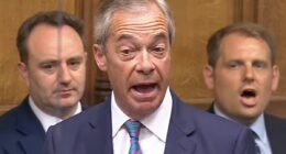 Nigel Farage condemned for ‘exploiting’ murder of Henry Nowak