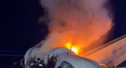 Footage shared online then showed the small aircraft laying upside down with flames bursting out its underbelly, sending smoke billowing through the air, as rescuers tried to break open the windshield