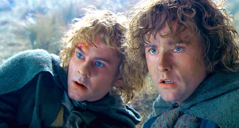 Only 3 Fantasy Movies Have Better Music Than The Lord of the Rings