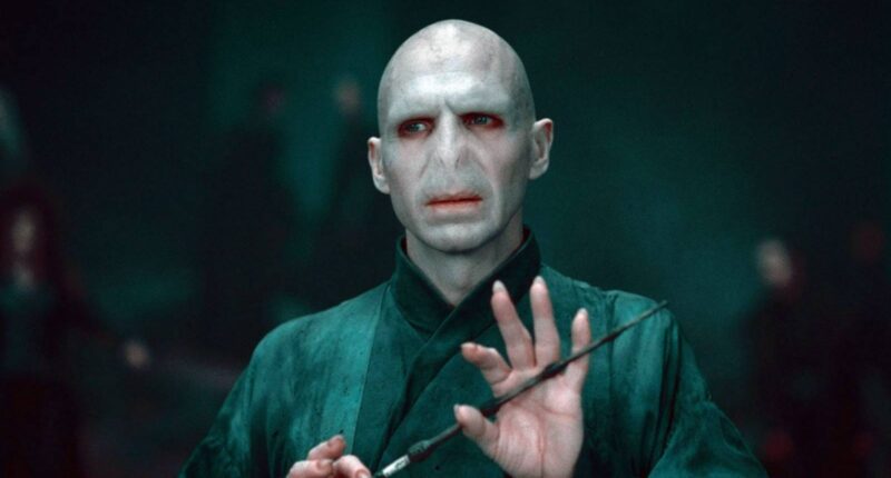 Only 5 Harry Potter Characters Are More Powerful Than Lord Voldemort