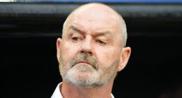 Clarke reckons Scotland lack the 'physicality, power and technique' to be able to compete