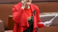 Pauline Hanson (pictured) has backed Karl Stefanovic by uploading his pulled interview with with Tommy Robinson to her own YouTube channel