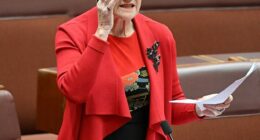 Pauline Hanson (pictured) has backed Karl Stefanovic by uploading his pulled interview with with Tommy Robinson to her own YouTube channel