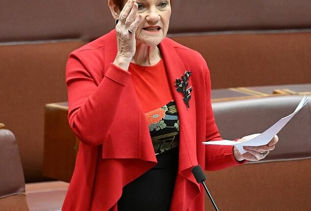 Pauline Hanson (pictured) has backed Karl Stefanovic by uploading his pulled interview with with Tommy Robinson to her own YouTube channel