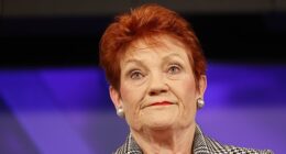 Pauline Hanson (pictured) called for a 'complete overhaul' of industrial relations in Austraia