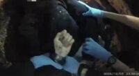Police Officer Resigns After Bodycam Footage Exposes Mistreatment of Henry Nowak. – The National Pulse