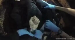 Police Officer Resigns After Bodycam Footage Exposes Mistreatment of Henry Nowak. – The National Pulse