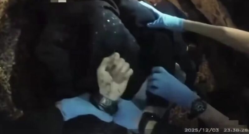 Police Officer Resigns After Bodycam Footage Exposes Mistreatment of Henry Nowak. – The National Pulse