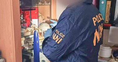 A cannibal dug up body parts and used them to reconstruct a face made from human skin which he flaunted in a trophy case at his home