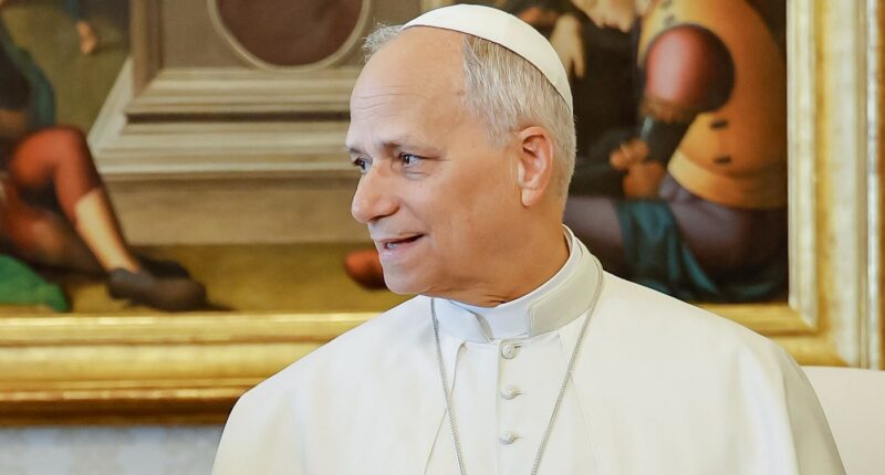 Pope Leo Says Migrants Should Integrate And Obey The Law