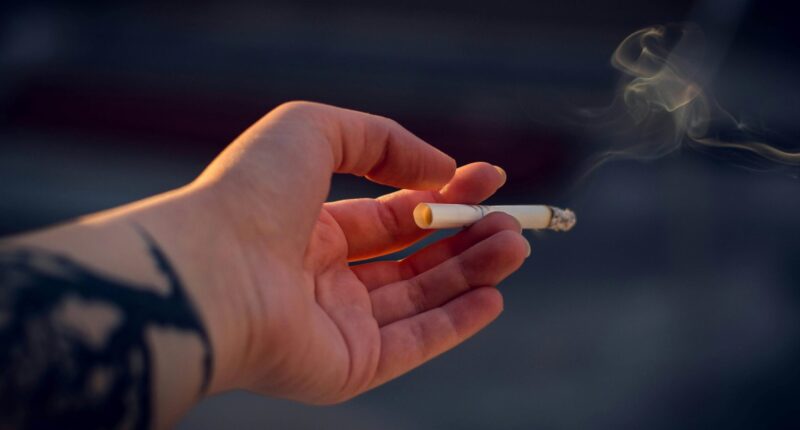 Record-High UK Illicit Cigarette Market Exposes Failed Tax-and-Ban Strategy. – The National Pulse