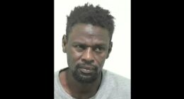 Refugee Jailed for Rape Shouts ‘F**k England’ in Court. – The National Pulse