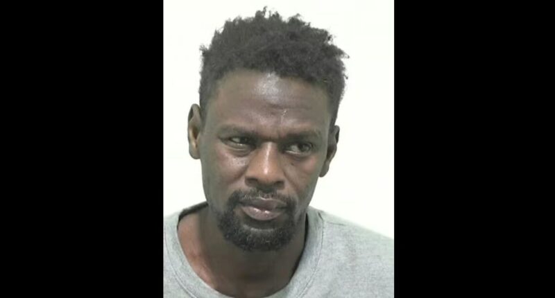 Refugee Jailed for Rape Shouts ‘F**k England’ in Court. – The National Pulse