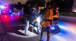 ICE arresting an illegal.