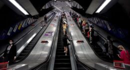 Chef Hani Mustafa, 45, of Thorndon Road, Orpington, Kent, filmed the woman on an escalator at London Bridge Station (pictured, stock) on April 13, 2024