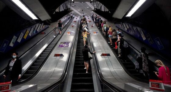 Chef Hani Mustafa, 45, of Thorndon Road, Orpington, Kent, filmed the woman on an escalator at London Bridge Station (pictured, stock) on April 13, 2024