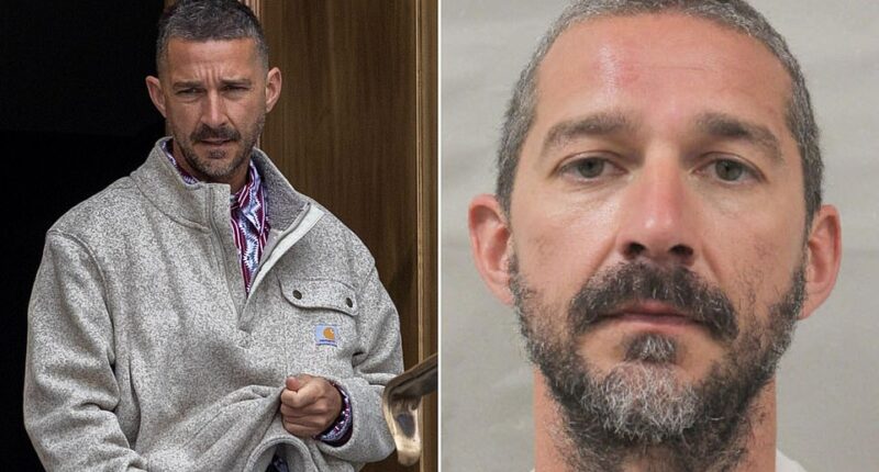 Shia LaBeouf, 39, pleads guilty to battery after New Orleans bar brawl