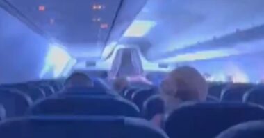 Midfielder Ffion Morgan captured the moment players screamed as a blue-white flash ran from the front to the back of the aircraft