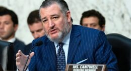 Simmering feud between Ted Cruz and JD Vance explodes: New presidential plot sparks laughter, cruel nickname and 'bedwetting' slur from White House insiders