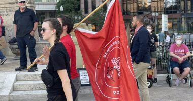 Democratic Socialists of America flag