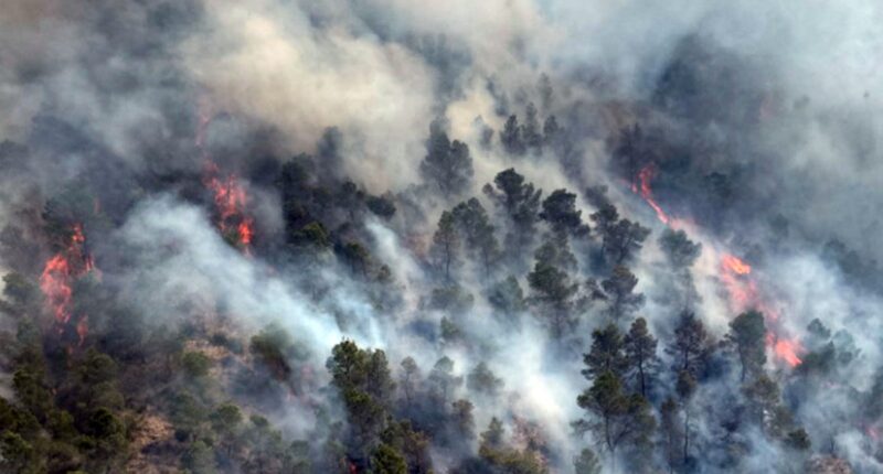 Spanish town faces ‘65ft flames’ during massive wildfire in holiday hotspo
