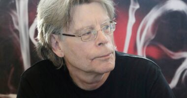 Stephen King Gives Glowing Review To Hit New Crime Thriller Compared To The Silence Of The Lambs