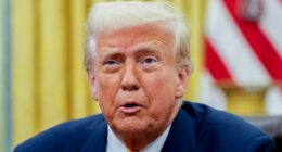 Donald Trump/birthright citizenship/supreme court