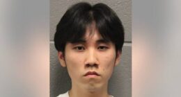 Suspect in Cross-Burning ‘Hate Crime’ is Anti-Trump Asian Who Was Protesting Christian Nationalism. – The National Pulse