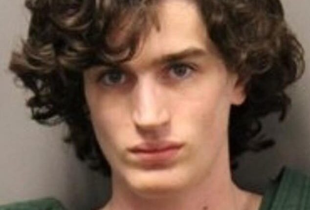 Bradley Scott Sayer, 18, allegedly opened fire at Butte County Library in Chico, California on Monday, killing two people and injuring a child in an attempted 'Columbine High School massacre-type of shooting'
