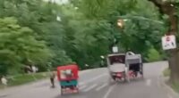 An 18-year-old passenger died after a horse-drawn carriage overturned in New York City's Central Park on Wednesday afternoon. The carriage is pictured moments before it overturned