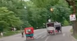 An 18-year-old passenger died after a horse-drawn carriage overturned in New York City's Central Park on Wednesday afternoon. The carriage is pictured moments before it overturned