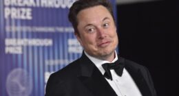 The Costs of Chancellor Kathaleen McCormick Ruling Against Elon Musk – HotAir