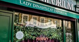 The UK is now home to around 40 animal cafés, including CuppaPugs and Lady Dinah's Cat Emporium (pictured) in London - but could the concept be a wider welfare issue?
