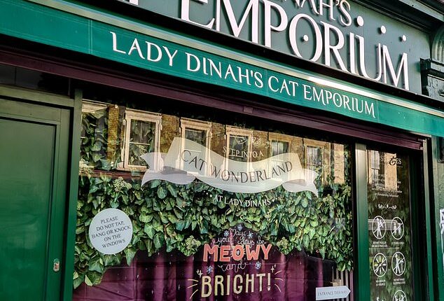 The UK is now home to around 40 animal cafés, including CuppaPugs and Lady Dinah's Cat Emporium (pictured) in London - but could the concept be a wider welfare issue?