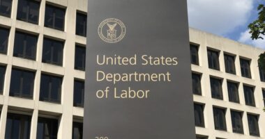 The federal government plans to make it harder for you to sue your employer over alternative 401(k) investment options