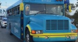 Curacao's players went viral after arriving in a windowless bus ahead of their World Cup debut