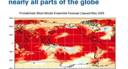 The WMO has warned that people should prepare for hotter-than-normal temperatures 'across nearly all parts of the globe'