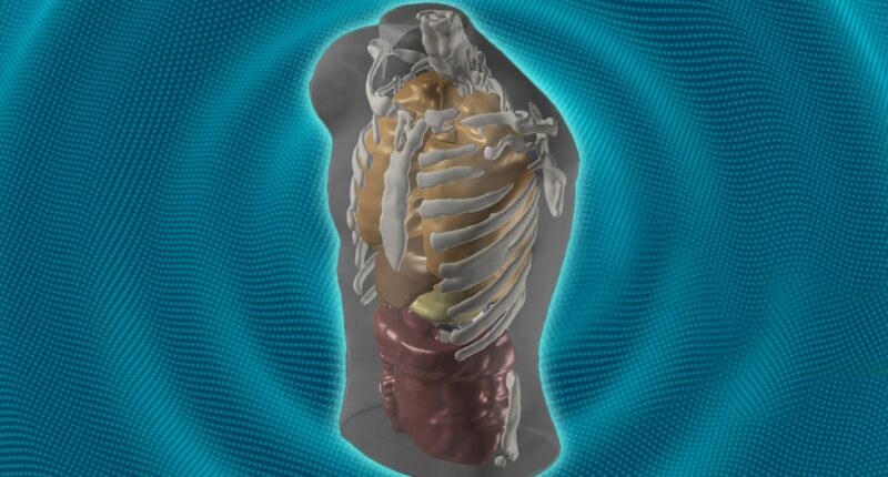 This AI company wants to replace MRIs with a 60-second dip in the spa. Can that really work?