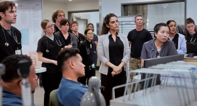 This Actress Quietly Delivered 'The Pitt's Most Award-Worthy Performance in Season 2
