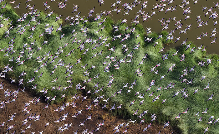 This Photographer Captures The Hidden Patterns That Make Nature Look Like Art (20 Images)