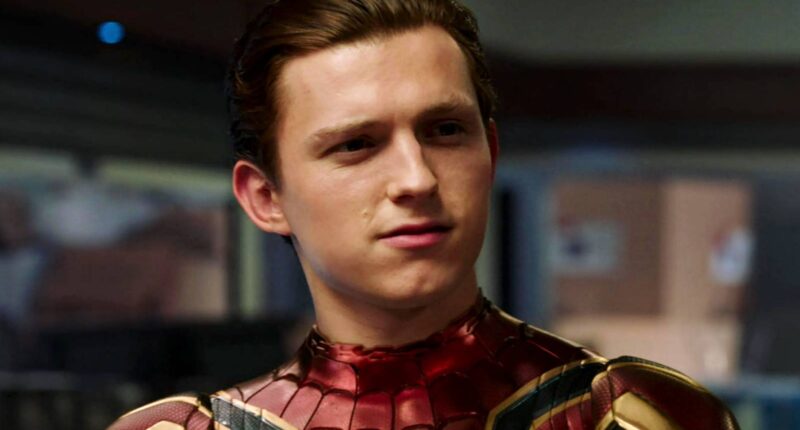 Tom Holland Teases R-Rated Spider-Man Movie After Peter Parker's Punisher Team-Up