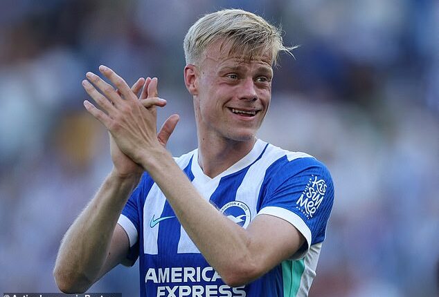 Tottenham have completed the signing of Brighton defender Jan Paul van Hecke for a £52m fee